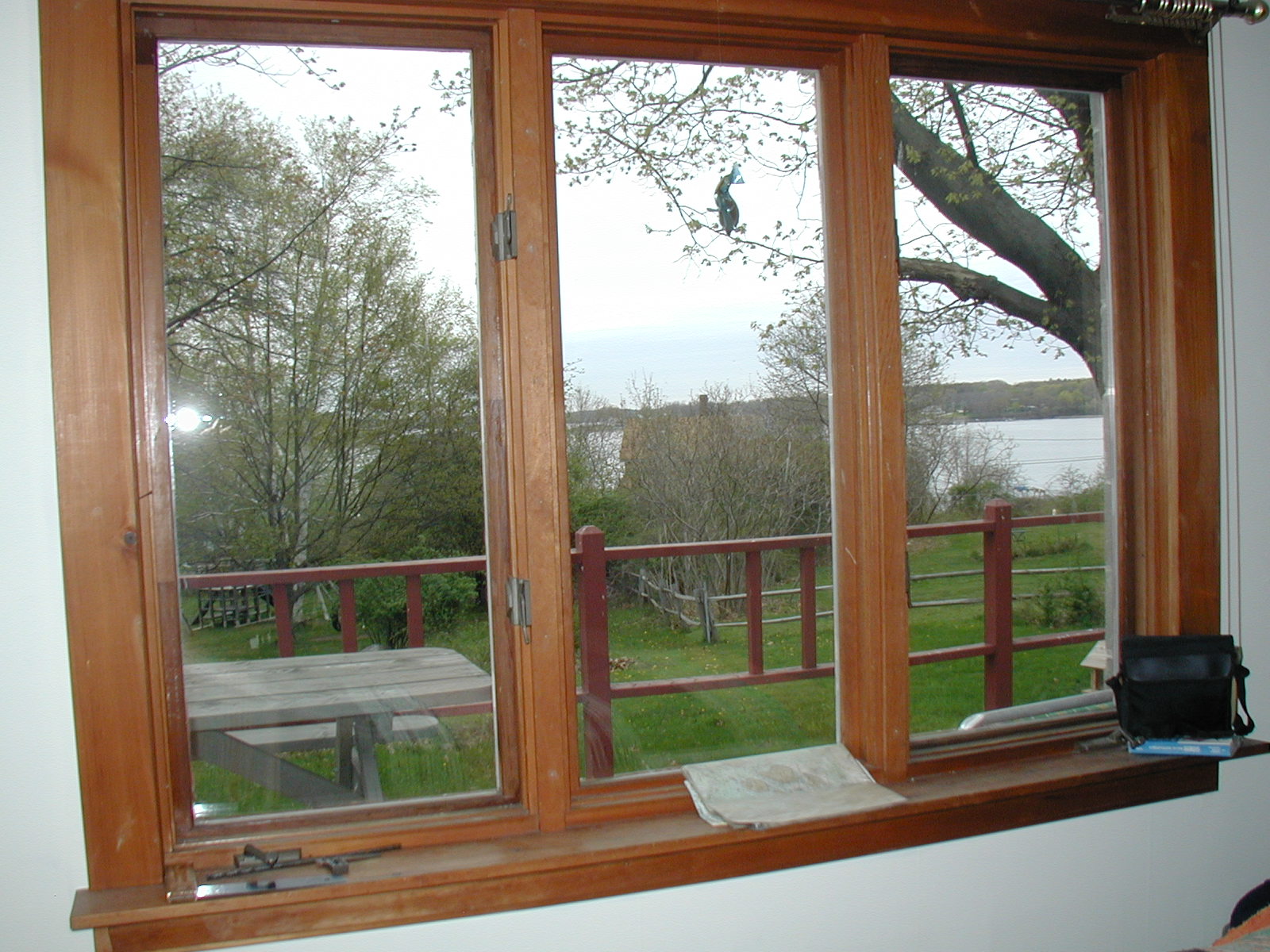 [view from LR window]